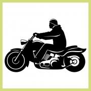 Leder/ Motorradbekleidung